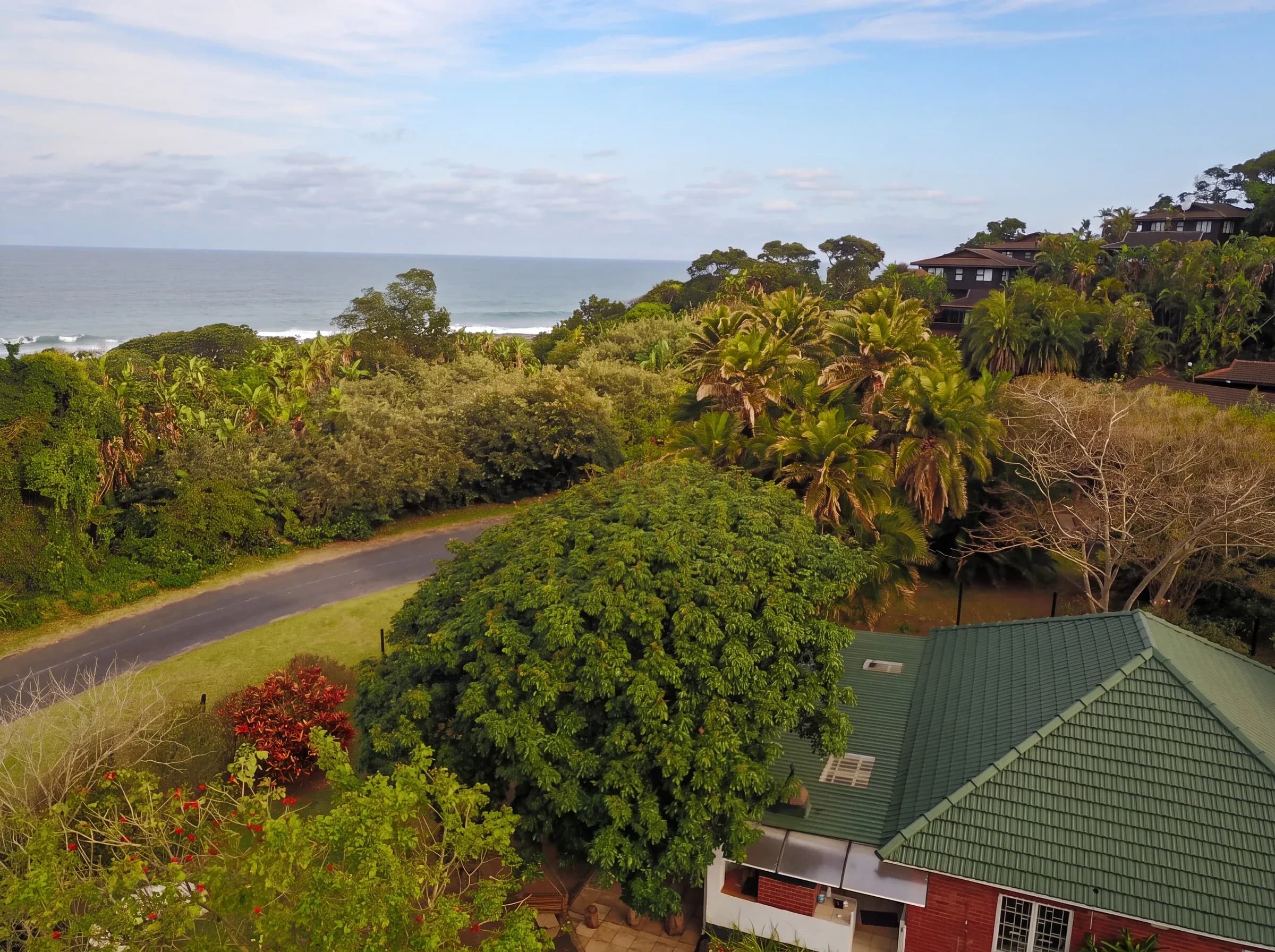 From above: the property in the coastal forest, with the sea beyond